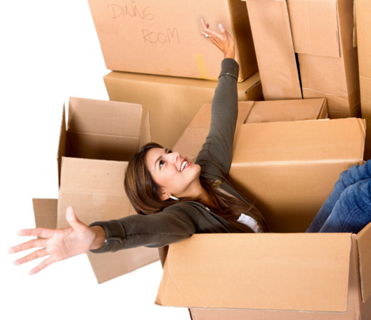 south india packers and movers pune